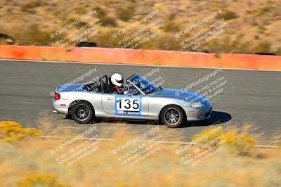 media/Nov-16-2024-Extreme Speed (Sat) [[6587d07cc4]]/Purple Group/Session 3 (The Bowl)/